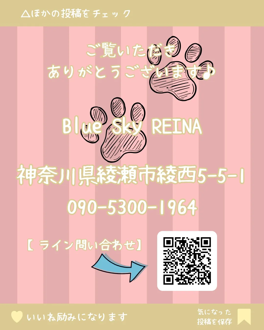 🐾 子犬販売🐾