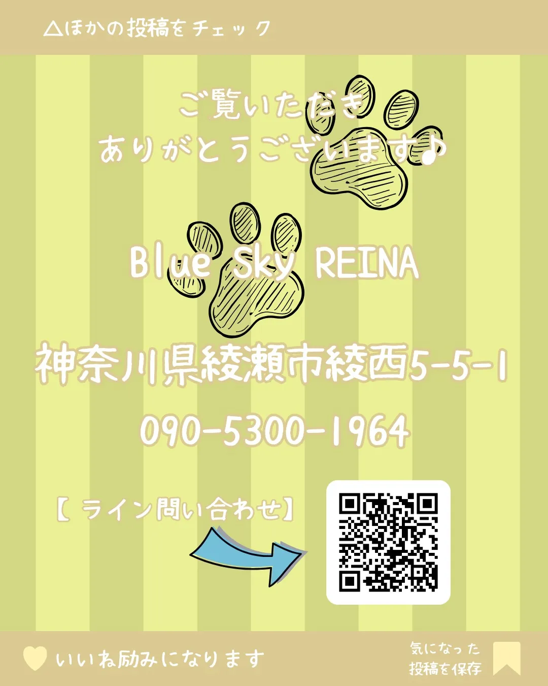 🐾 トリミング🐾