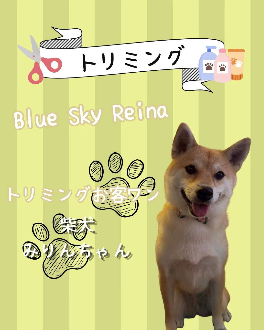 トリミング🐾