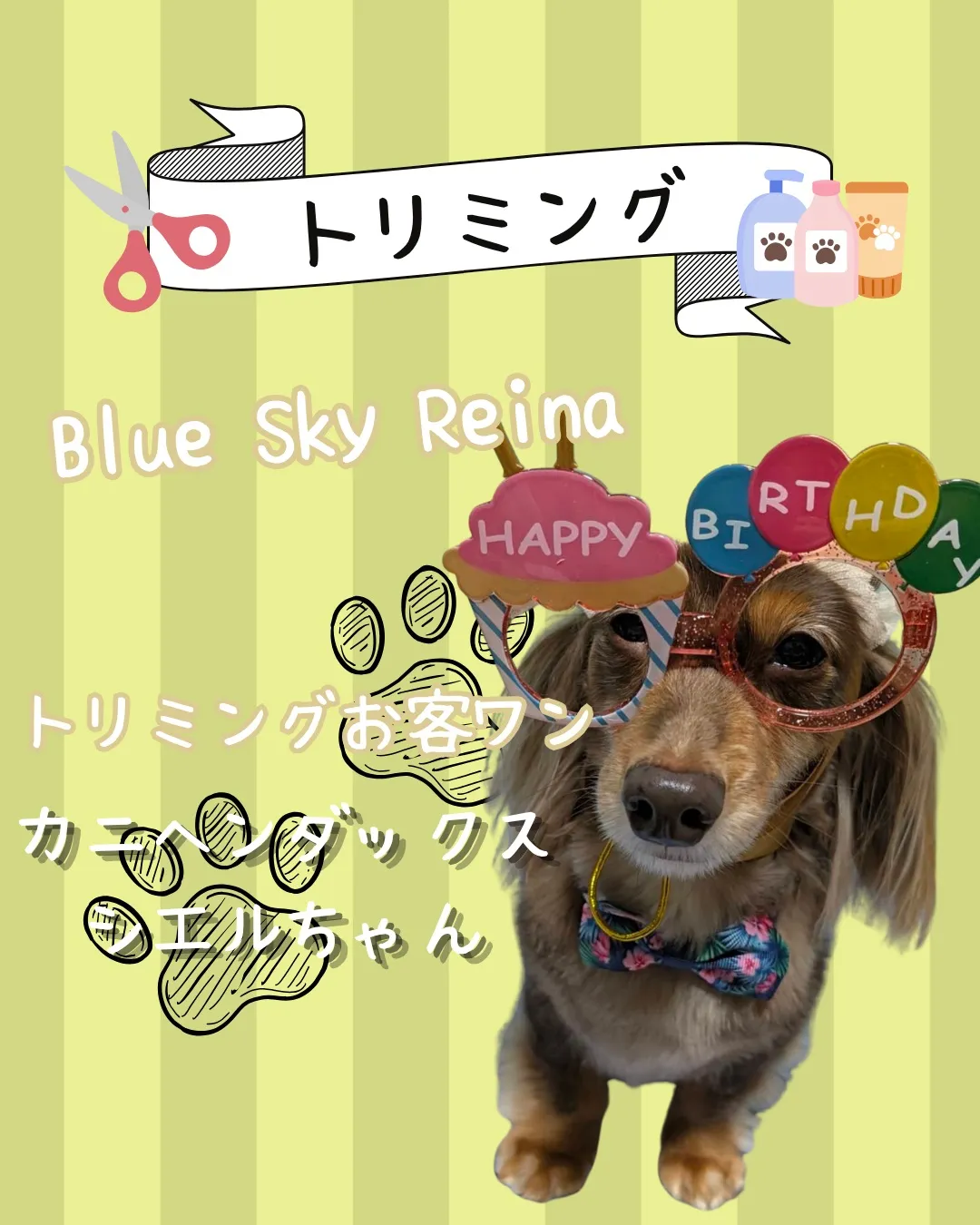 トリミング🐾