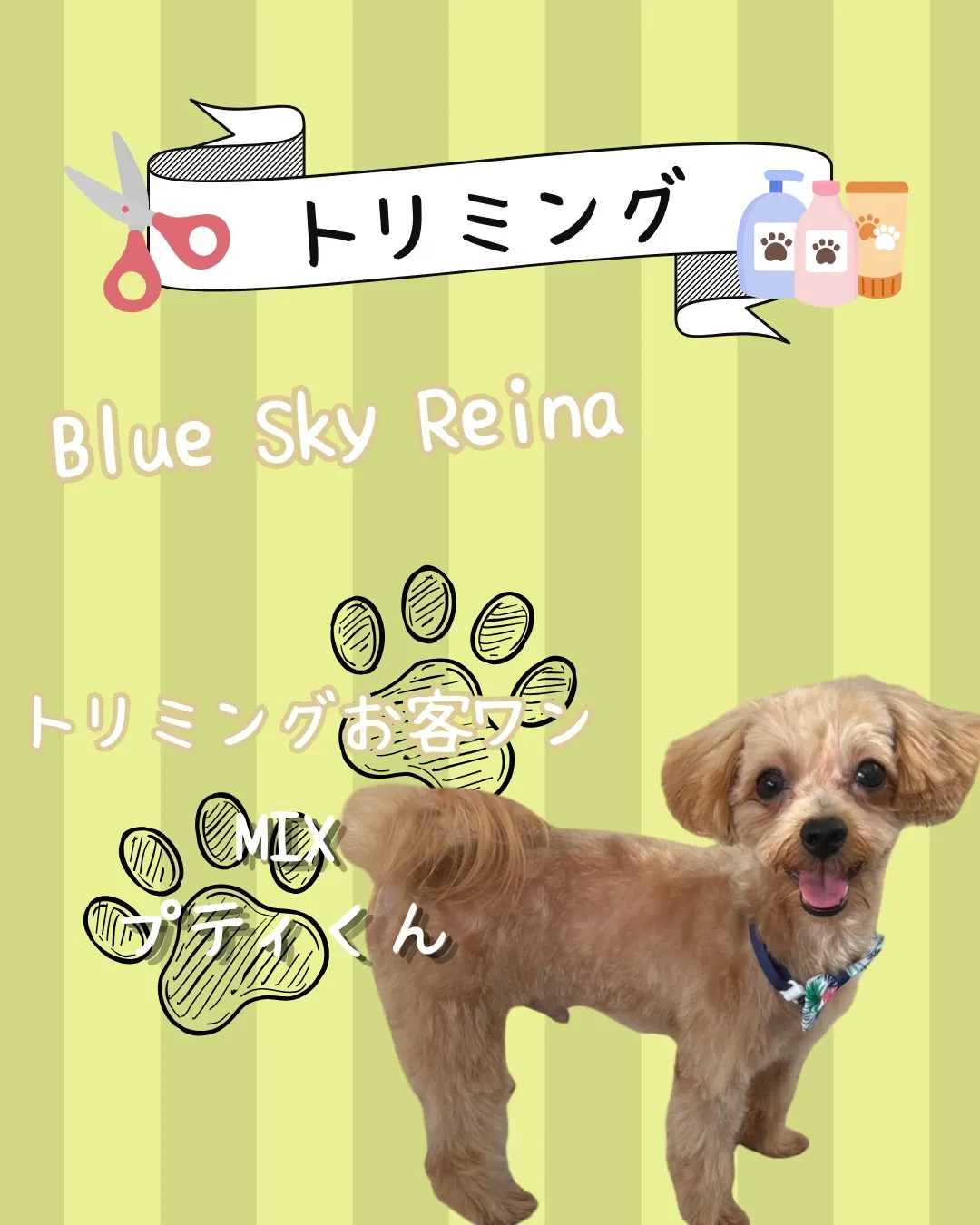トリミング🐾