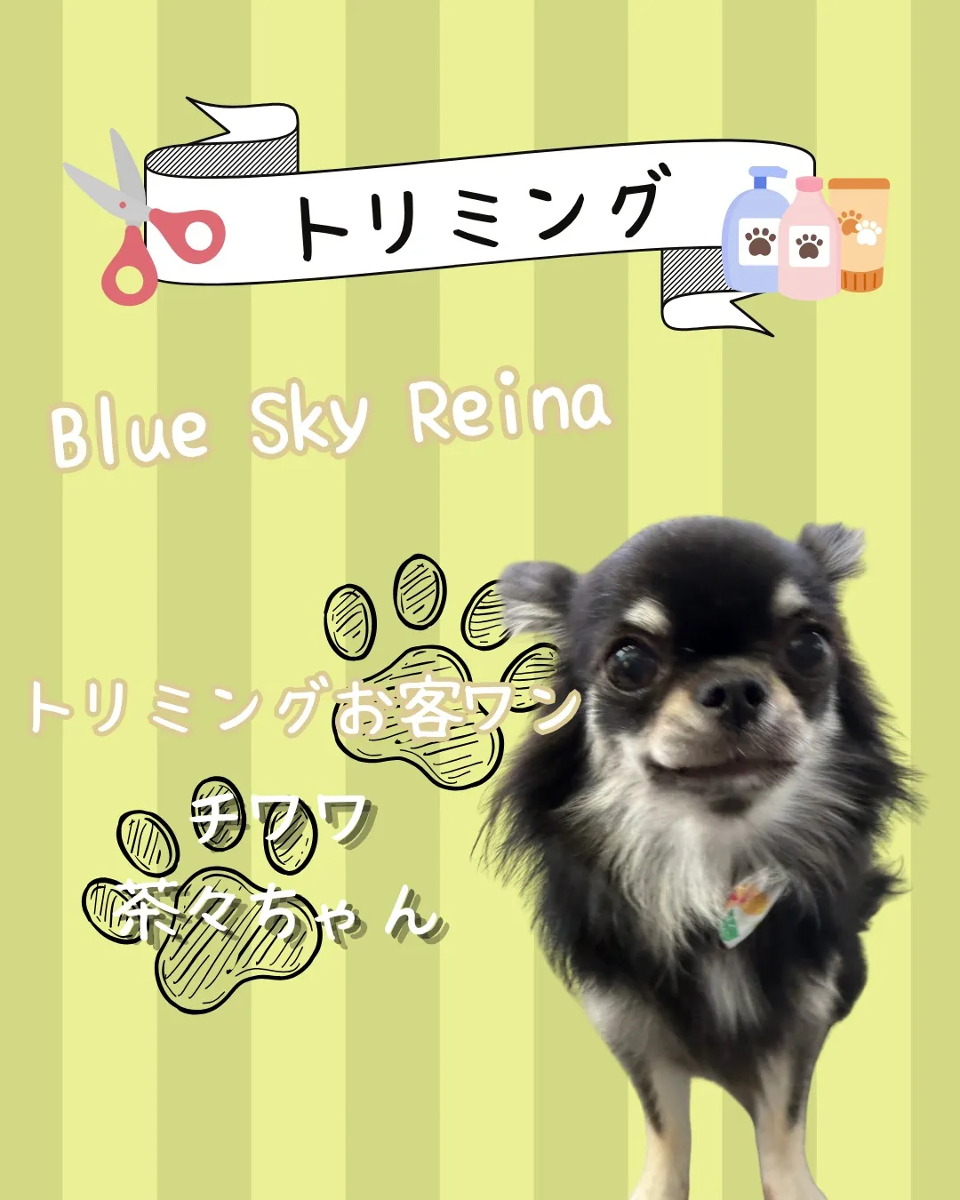 トリミング🐾