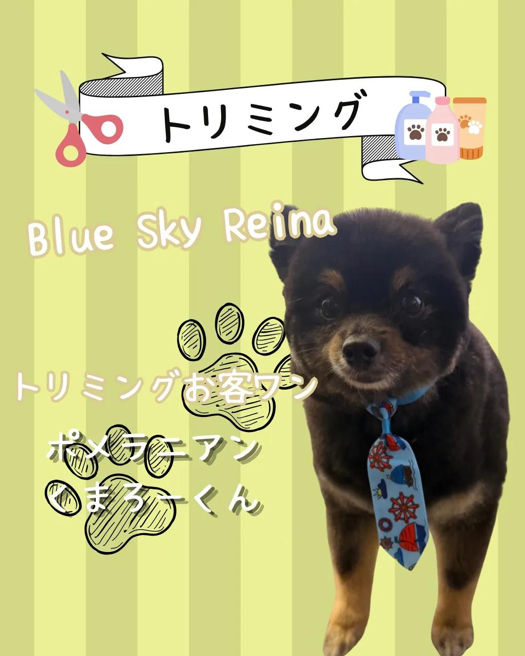 トリミング🐾