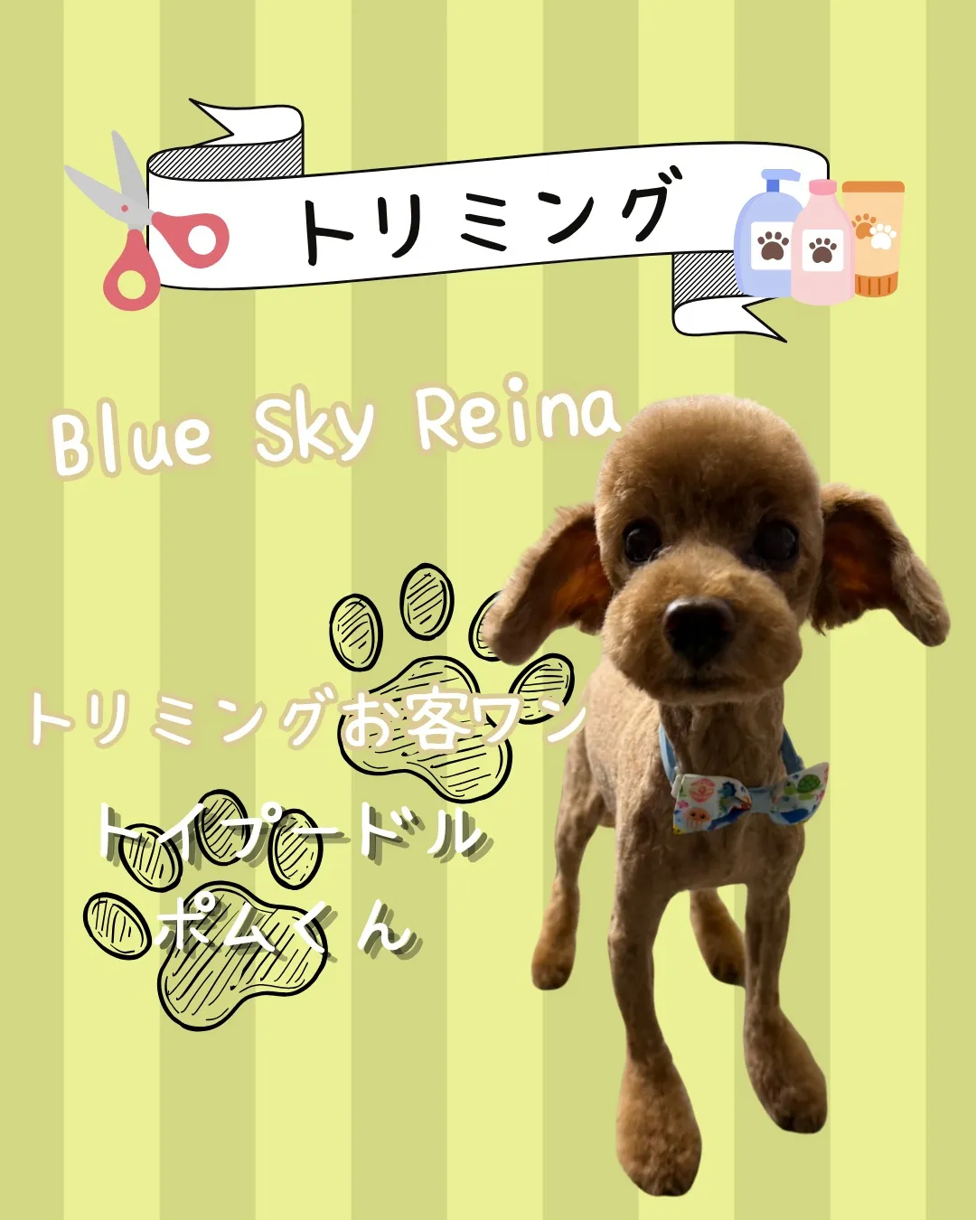 トリミング🐾