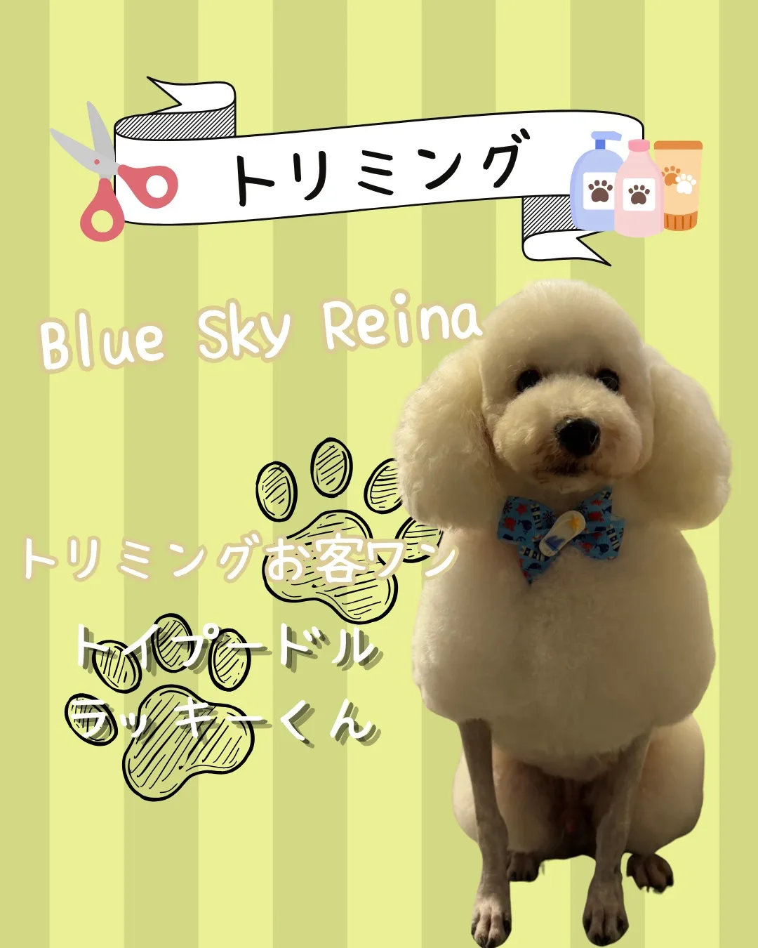 トリミング🐾