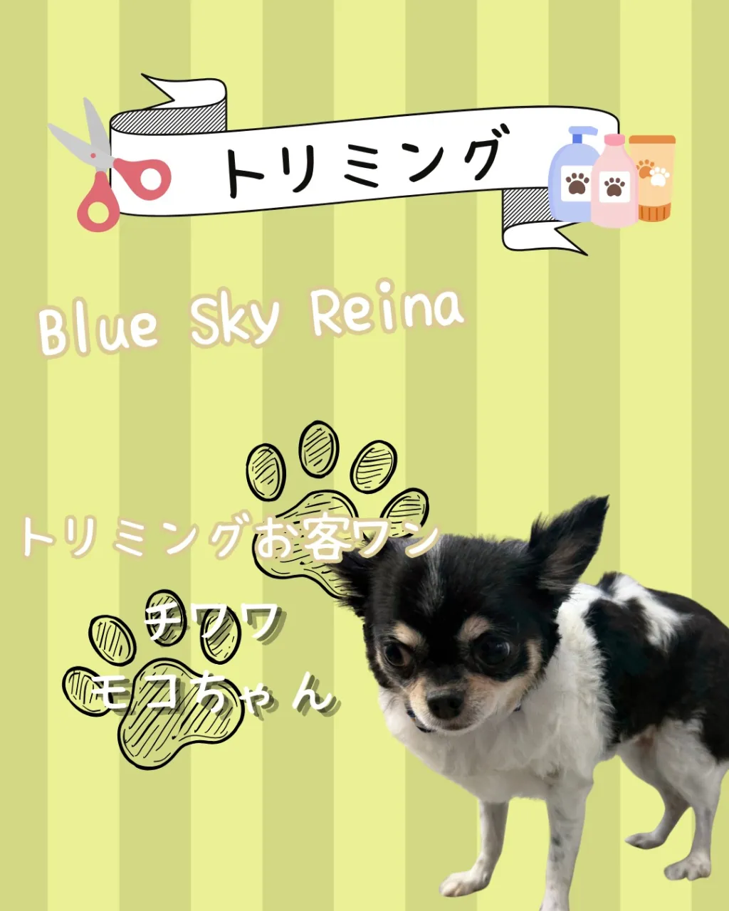 トリミング🐾