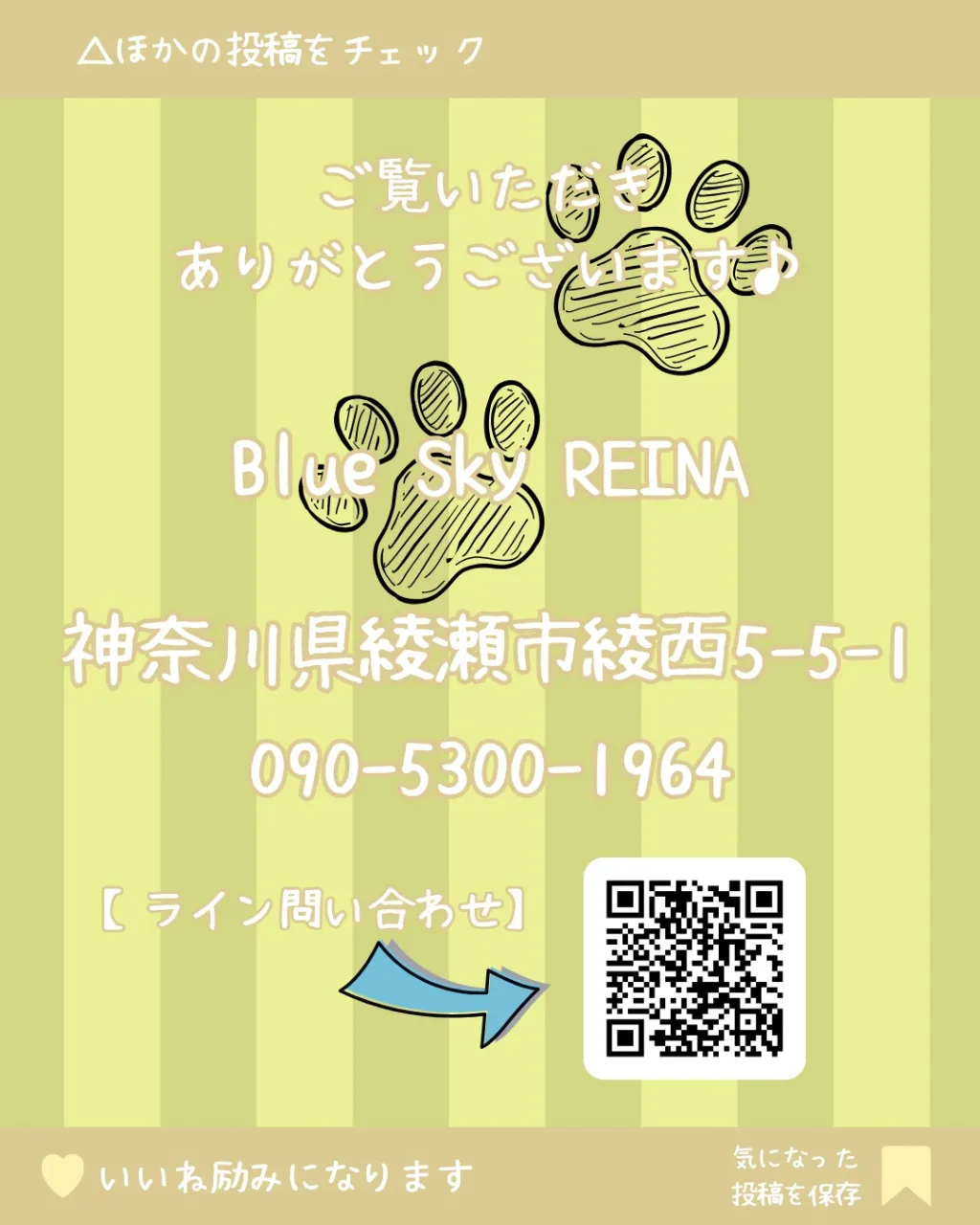 トリミング🐾