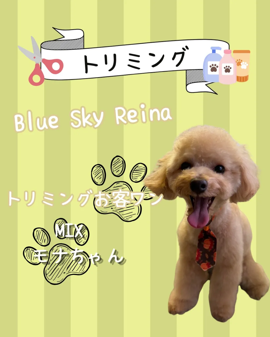 トリミング🐾