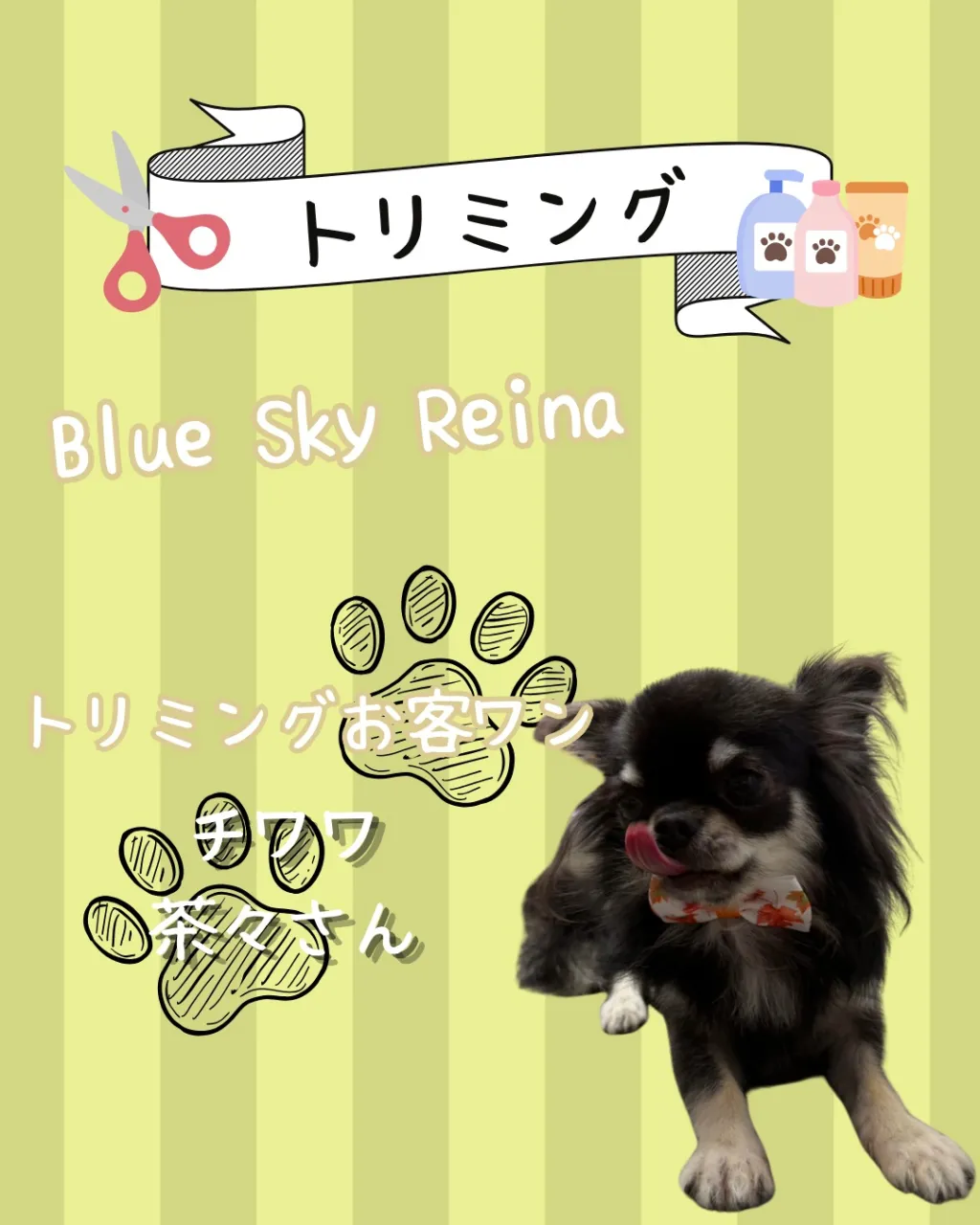 トリミング🐾