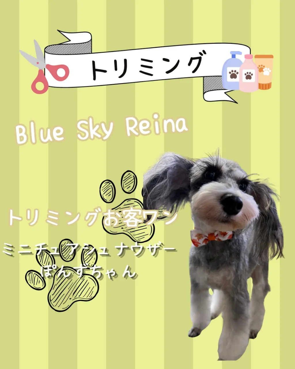 トリミング🐾