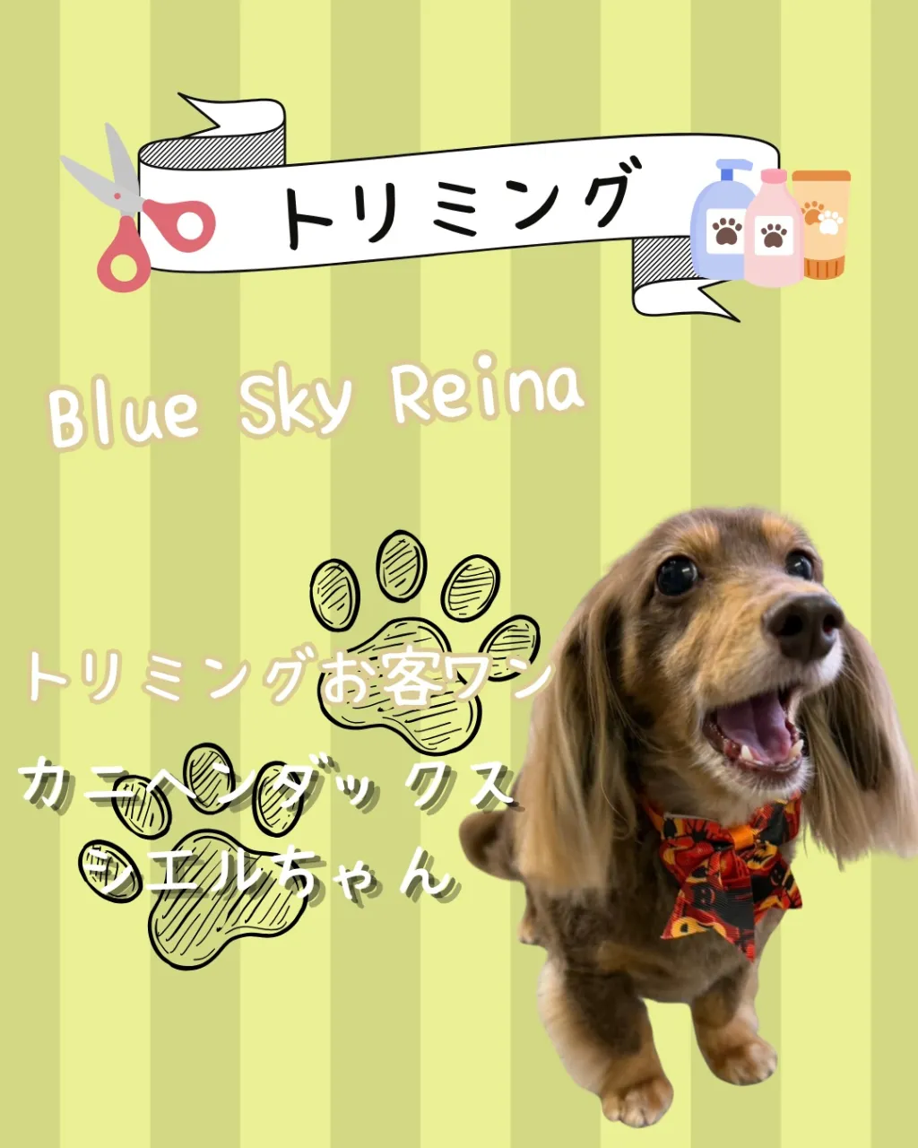 トリミング🐾