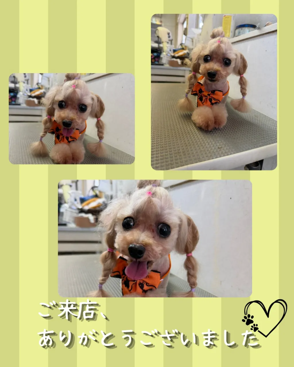 今回ご来店いただいたのは、
