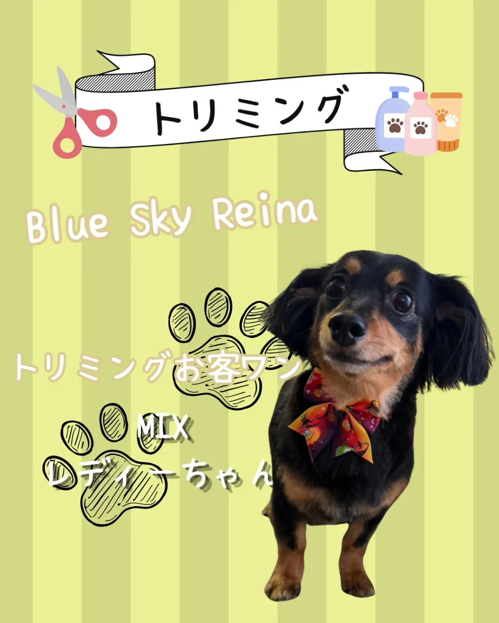 トリミング🐾