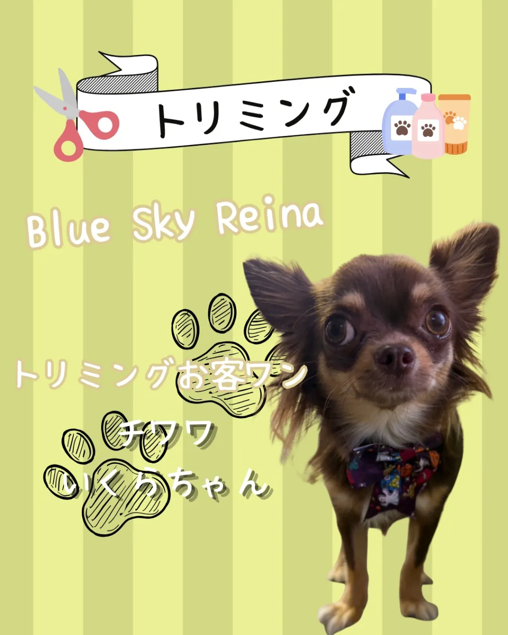 トリミング🐾