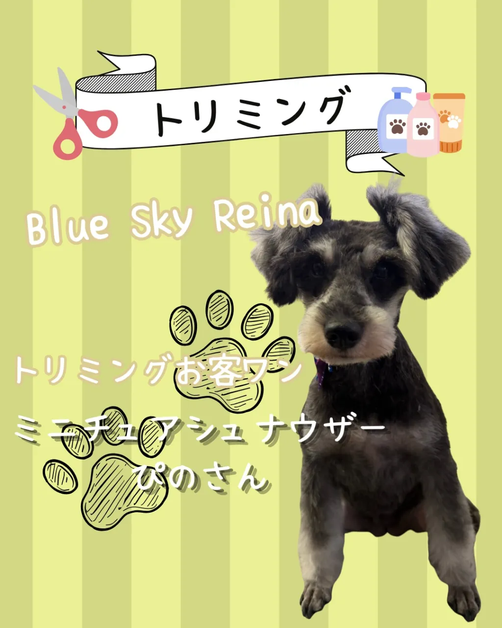 トリミング🐾