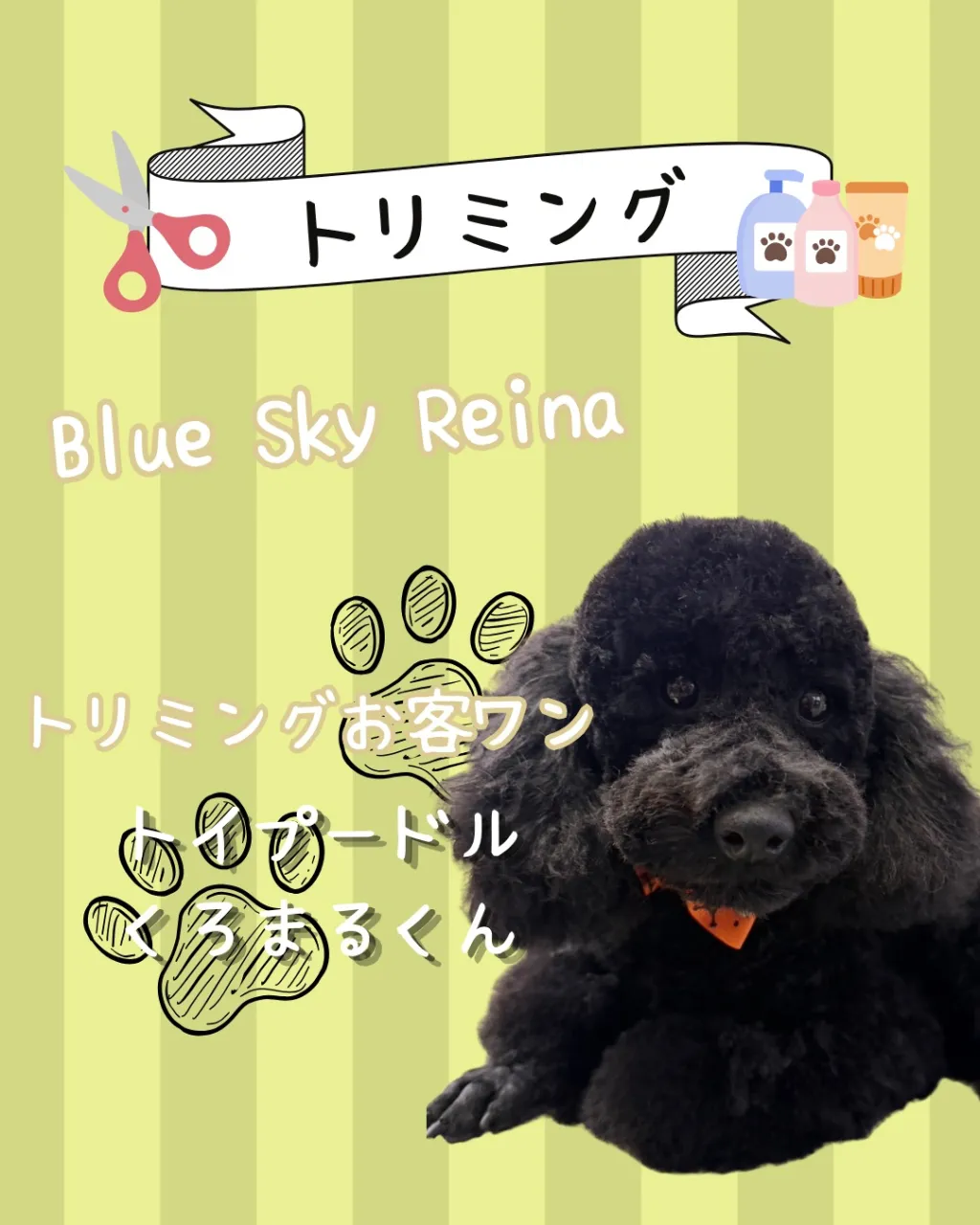 トリミング🐾