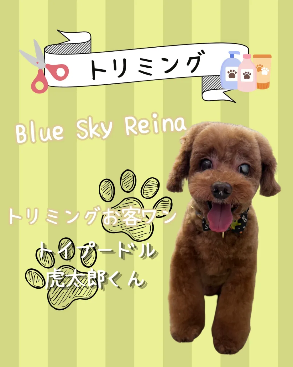 トリミング🐾