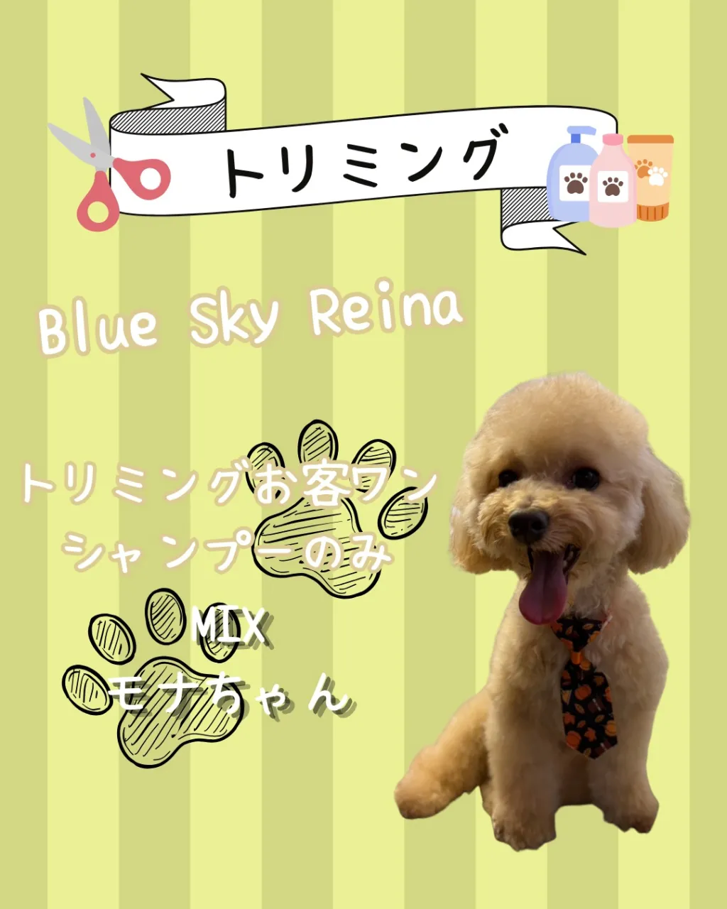 トリミング🐾